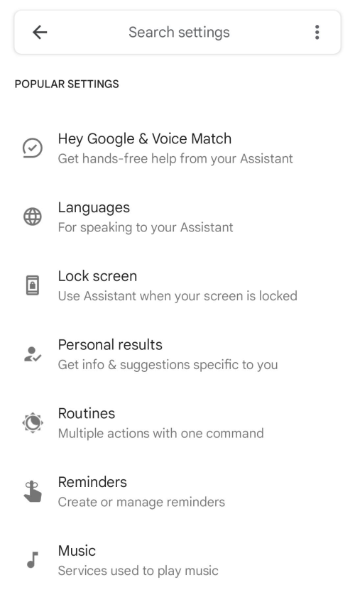 The Google Assistant settings